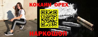 apvp Моздок