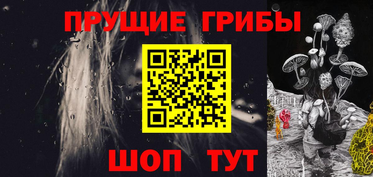 Галлюциногенные грибы Psilocybe  Галлюциногенные грибы прущие грибы  Джанкой  Вход с VPN 